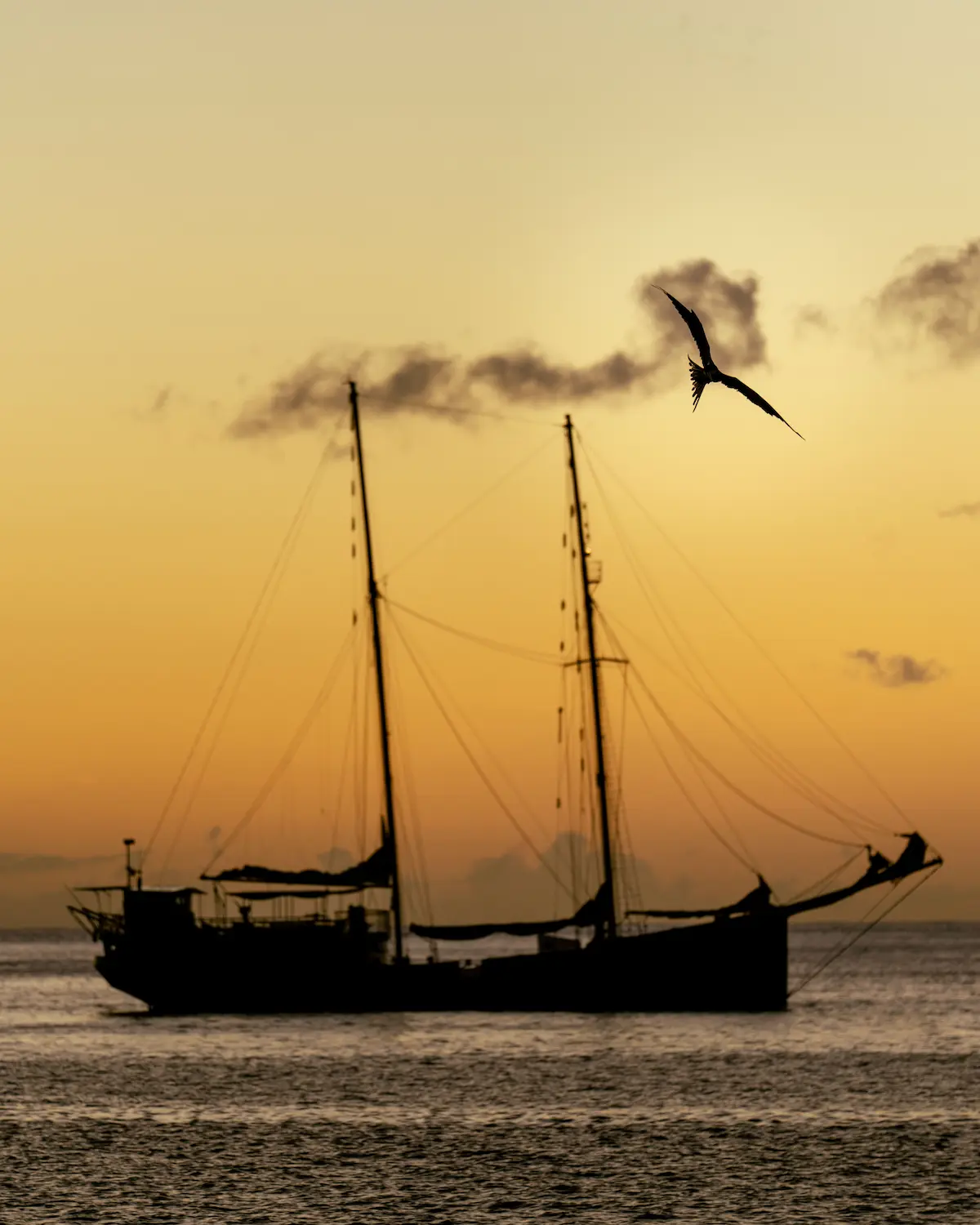 Le Stahlratte au mouillage à Bouillante