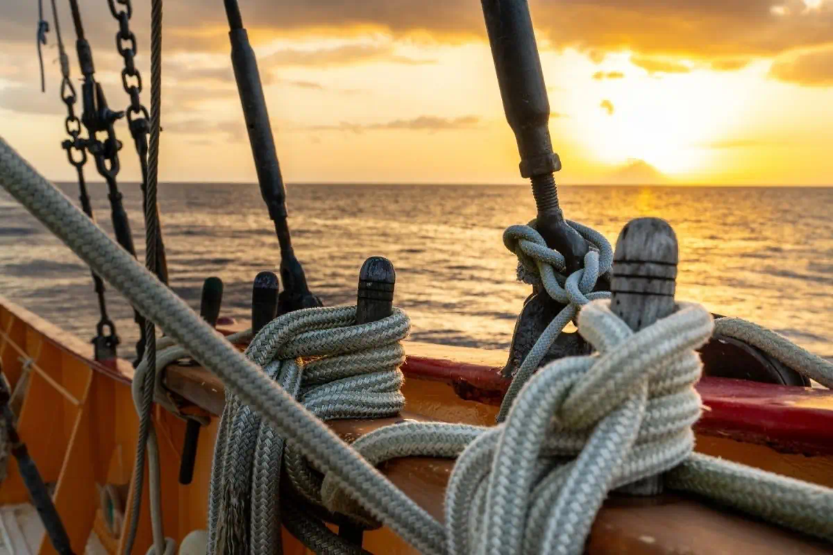 Visite guidée à bord du voilier Stahlratte